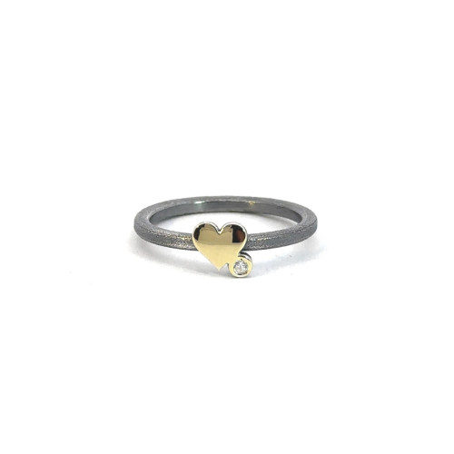 Silver, gold and brilliant ring